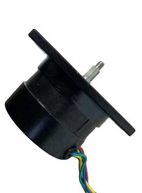 63BLS  直径63mm 方法兰直流无刷电机   50w 75w 100w 150w 250w