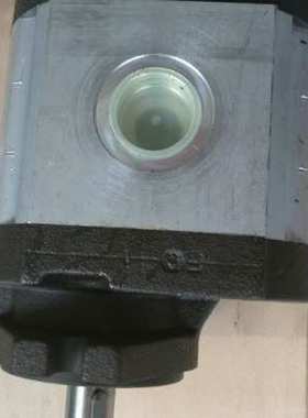 意大利RONZIO罗茨 02ZMAG31C043R（排量31）全系齿轮泵 液压马达