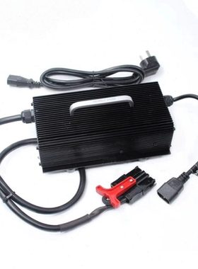 杭州叉车锂电搬运叉车充电器24V20A充电机CBD15-AIMB155配件