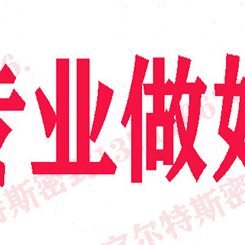 特瑞堡旋转格莱圈TG4000200特康格莱圈 GNS 活塞用进口密封件106