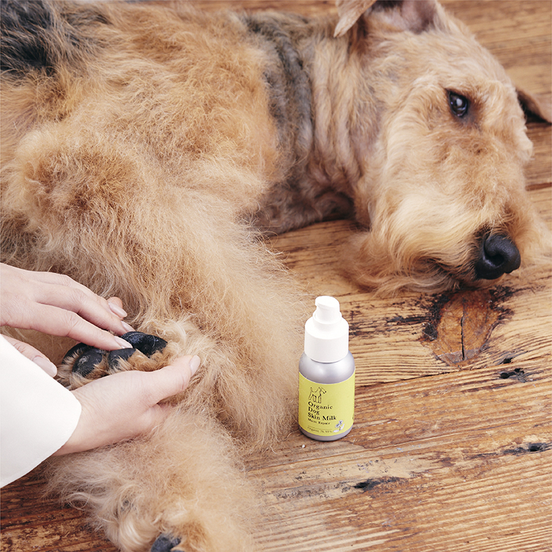 APDC犬用有机护爪膏乳液