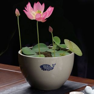 陶瓷钵钵鸡泡面碗容器深碗冷串串碗莲调料盆高颜值粗陶碗无孔摆摊