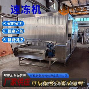 海红果流态化隧道式速冻机厂家水果平板式单冻机设备厂家