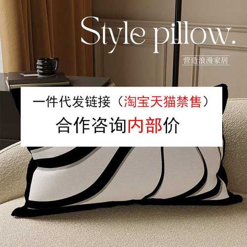 轻奢风抱枕沙发客厅高级装饰腰枕车用办公室靠垫腰枕含芯一件代发