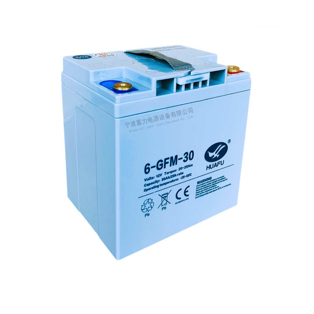 中力大金刚叉车6GFM30蓄电池电动托盘搬运车12V30AH免维护电瓶