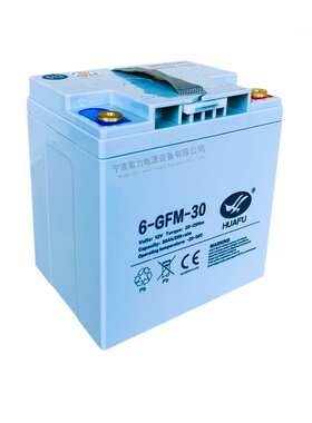 中力大金刚叉车6GFM30蓄电池电动托盘搬运车12V30AH免维护电瓶
