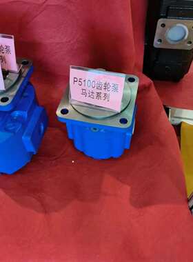 11C0014 856转向先导泵4120002519转向泵LG968V