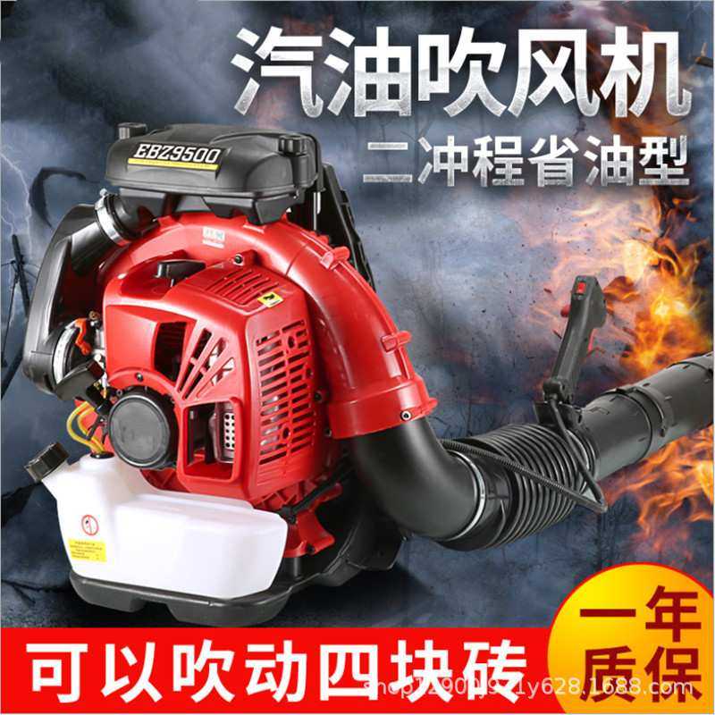 背负式汽油吹雪机吹风机大功率 森林风力灭火机 大棚吹雪清雪机,鲜花速递/花卉仿真/绿植园艺,其它园艺用品,淘宝优惠券,粉丝福利购,淘宝优惠卷