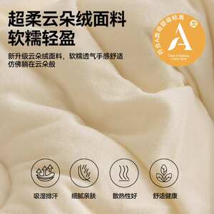 A类云朵绒加厚保暖冬被春秋被子卧室宿舍被芯四季通用纯棉面料