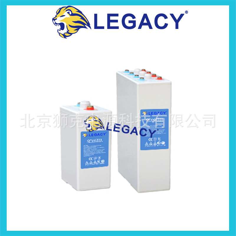 LEGACY狮克蓄电池 LGD6/240 6V240AH 升降平台 洗地机 动力电池