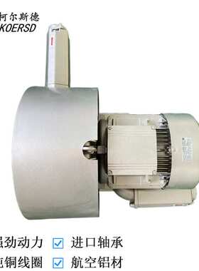 2BH1300-7AH16塑料机械配套耐高温高压风机