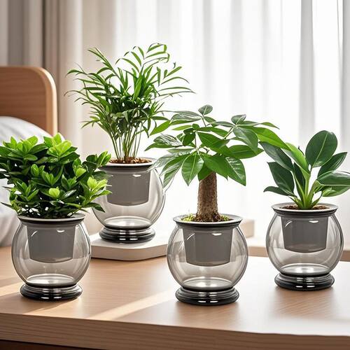 拍一发四发财树盆栽室内袖珍椰金钻桌面水培植物栀子花卉绿植