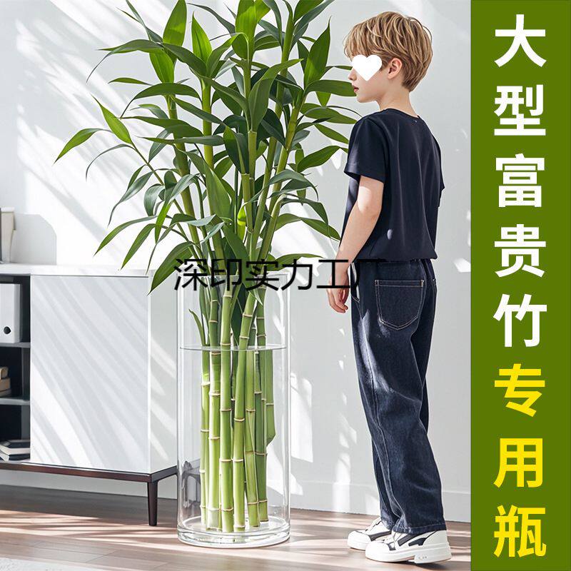 富贵竹花瓶高405060cm大号落地特大号大口径透明玻璃水培器皿家用