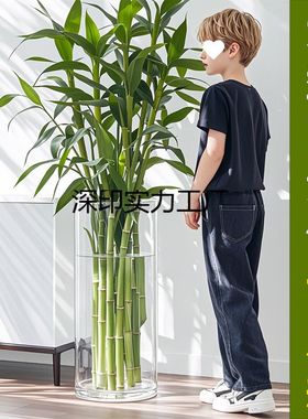 富贵竹花瓶高405060cm大号落地特大号大口径透明玻璃水培器皿家用
