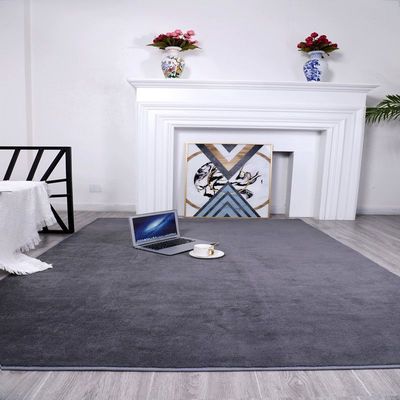 地毯床边超柔绒毛客厅茶几网红卧室毯办公房间进门地垫可水洗