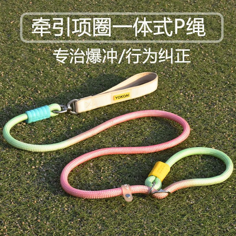防爆冲防缠绕遛狗绳狗狗牵引p链狗绳P绳训犬中小型犬专用宠物用品