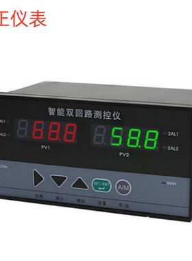 WT-400SA2P12CI双回路数显控制仪 数字显示报警器