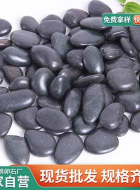 黑色抛光鹅卵石 天然黑色普通抛光雨花石子 铺路工程园林造景石头