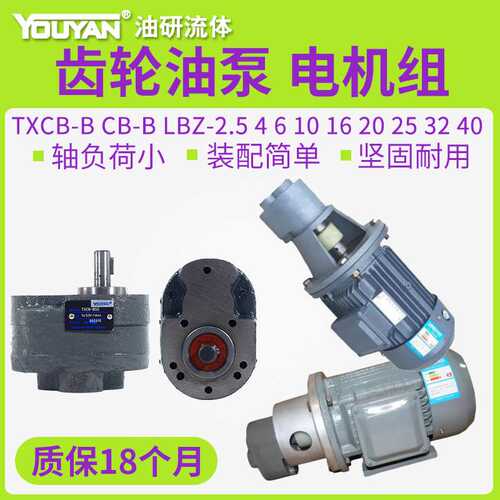 TXCB液压LBZ50立80卧63式CBW齿轮100油泵CB-B10/16/20/40电机组25