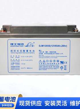理士蓄电池 DJM12150S/12V150AH 铅酸免维护LEOCH理士蓄电池