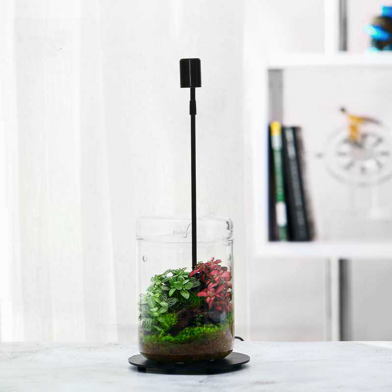 LED苔藓植物灯生态瓶集露杯带亚克底板绿植补光灯水草灯圆形鱼缸
