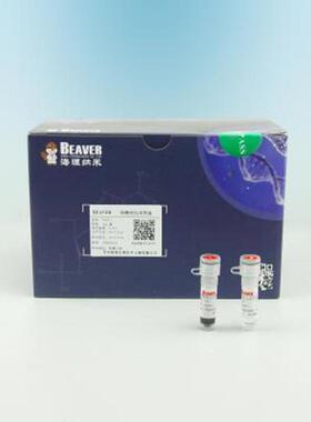 海狸70201-5氨基磁珠S500nm具有超顺磁性快速磁响应性