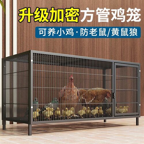 鸡笼子家用大号兔笼养殖鸭鹅鸽笼室外铁丝网不锈钢猫自动滚蛋鸡笼