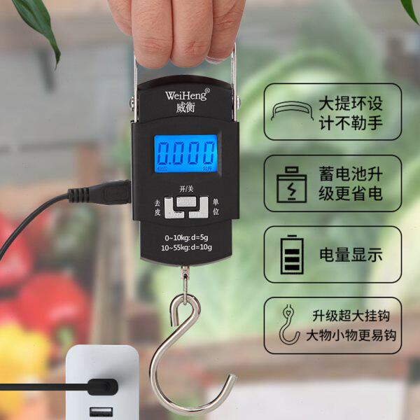 k威衡手提秤称电子称50便携式迷你小秤快递弹簧秤家用g称重高精度