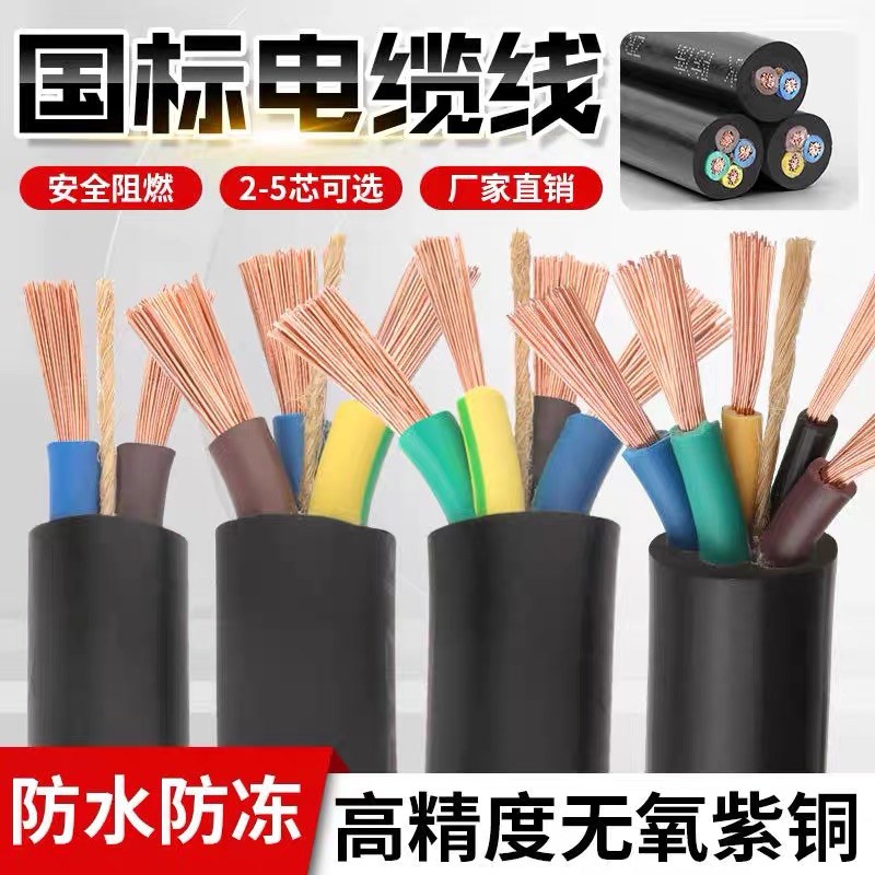 真国标纯铜RVV电线电缆2 3 w4芯1.5/2.5/4/6平方家用户外软护套线
