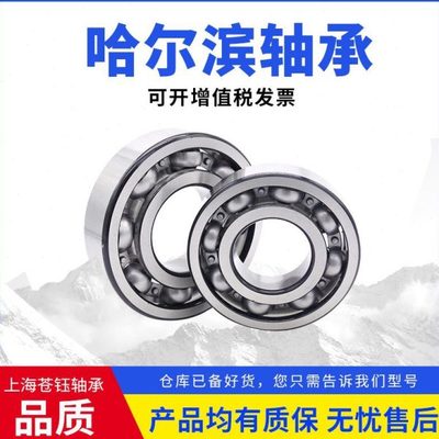 哈尔滨轴承6317 6318 6319 6320 6321 6322 6324速电机风机轴承