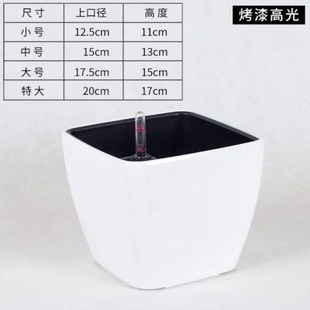 水花盆花盆懒人方形塑料桌面自动吸水简约培土培绿萝箩办公室小号