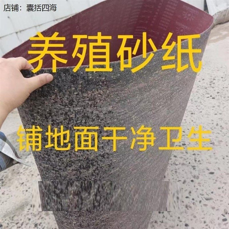 养殖砂纸养鹅养鸭代替地面硬化鱼池铺地护坡斜坡专用砂纸鹅厂专用,标准件/零部件/工业耗材,砂纸,淘宝优惠券,粉丝福利购,淘宝优惠卷