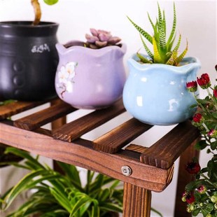 绿萝摆放花盆植物架子 饰室外多层实木花架置物架落地式 新款 阳台装