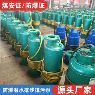 矿用隔爆型潜水排沙电泵660v1140V防爆潜水排沙泵 BQS400-30-75KW