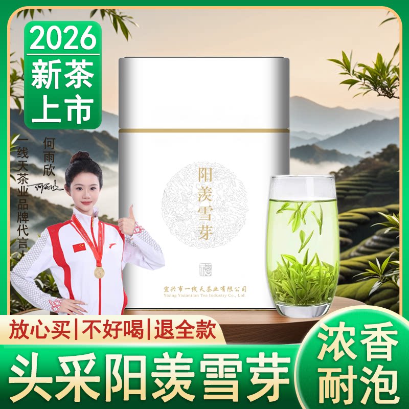 2026新茶阳羡雪芽明前特级图片