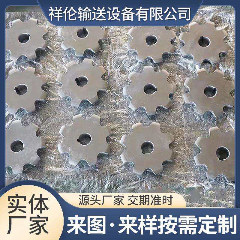 不锈钢齿轮安装简单工业机械传动轮输送机大节距双排齿轮齿条链轮