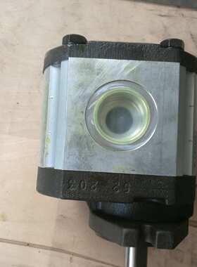 进口意大利 RONZIO 罗茨 02ZAG08E034D 齿轮泵 液压马达