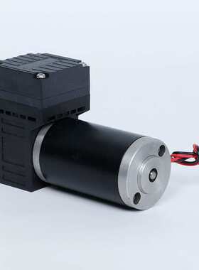 气体隔膜泵 DS06 DCB无刷隔膜微型真空泵12V/24V气体采样泵供应