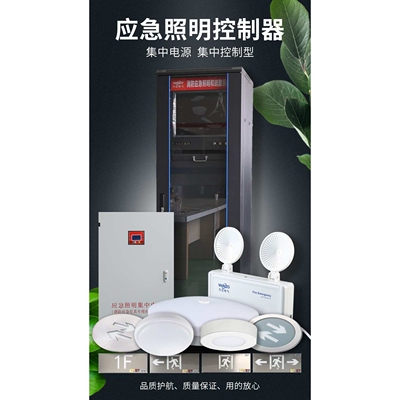 a型集中照明应急电源DC24VDC36V疏散分配电柜300W600W1000W直流