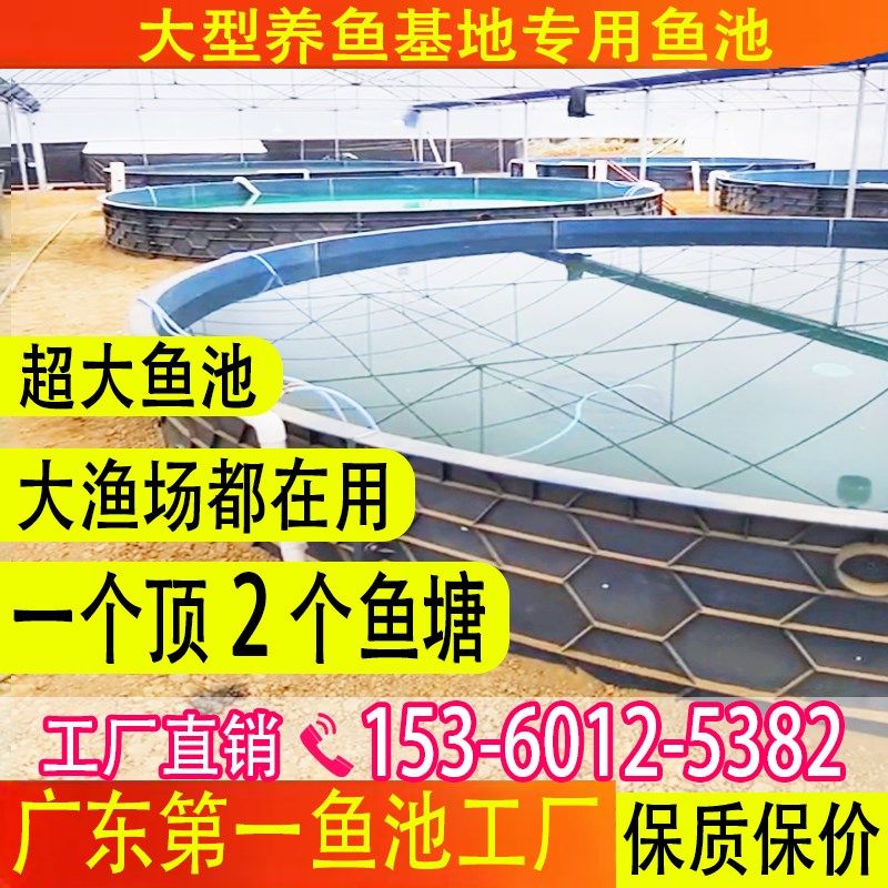 鱼池PP圆形帆布鱼池大棚养殖场养鱼虾蟹大型池工厂高密度养殖专用,居家日用,防雨布,淘宝优惠券,粉丝福利购,淘宝优惠卷