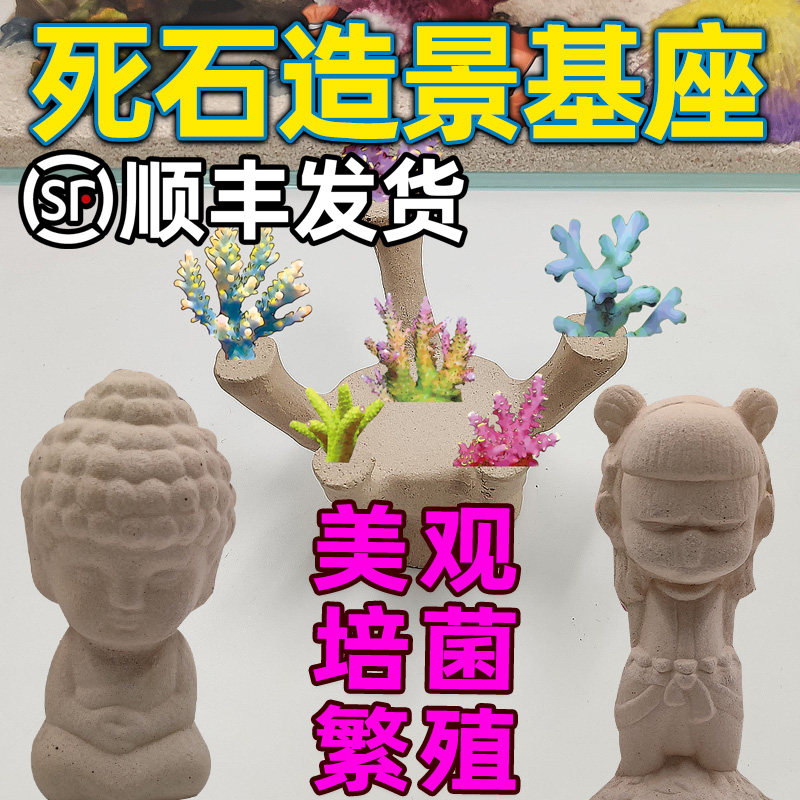 皇海死石造景基座哪吒沙弥珊瑚繁殖断枝硬骨水族海水缸海水鱼菌石