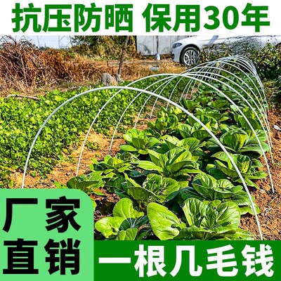 玻璃纤维拱棚支架菜棚育苗保温棚小工棚保暖圆棒插秧花棚种菜弯曲