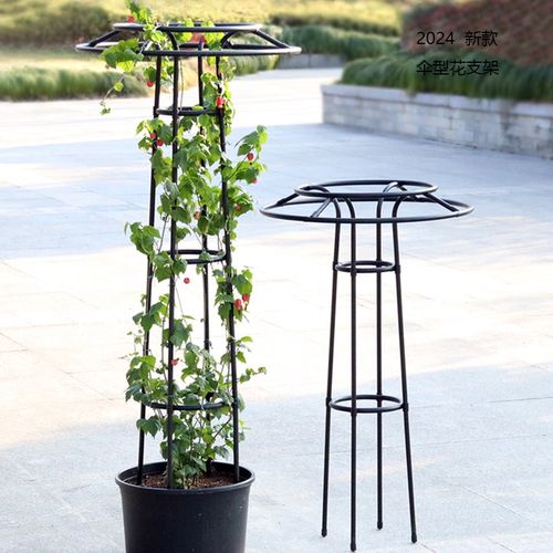 2024新款蘑菇爬藤架加粗伞形花支架园艺玫瑰月季蔷薇攀爬户外花架