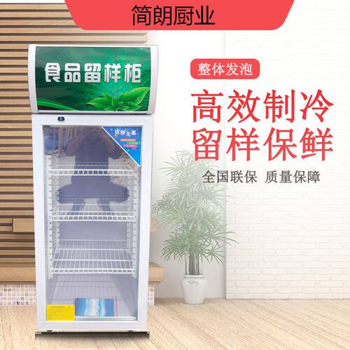 食品留样柜冷藏保鲜幼儿园带锁饭厅食堂家用小冰箱商用展示留样柜