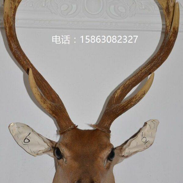 大鹿头标本壁挂墙饰6 乔迁开业礼品 样板房会所 酒吧聚财装饰摆设