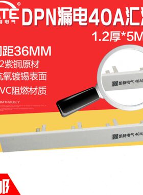 DP5640汇流排KT接0N断路器排漏电Z267连DE铜A1.2 紫接线空开排*L0