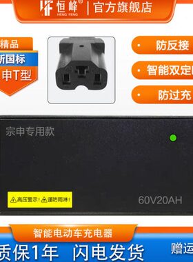 宗申电动三轮车充电器接口适配AA5072V08V5A548VH100A20AH6H原装0