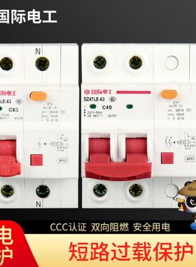 1Z断路器D/4家用电国际电工总空气开关带漏电保护闸763A2P小型器