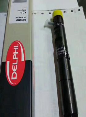 EJBR03401D喷z油器总成DELPHI德尔福