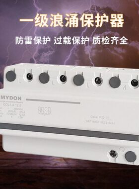 三A55.K防雷A245KK保护器一级浪涌保护器电涌保护器 相避雷A1P12